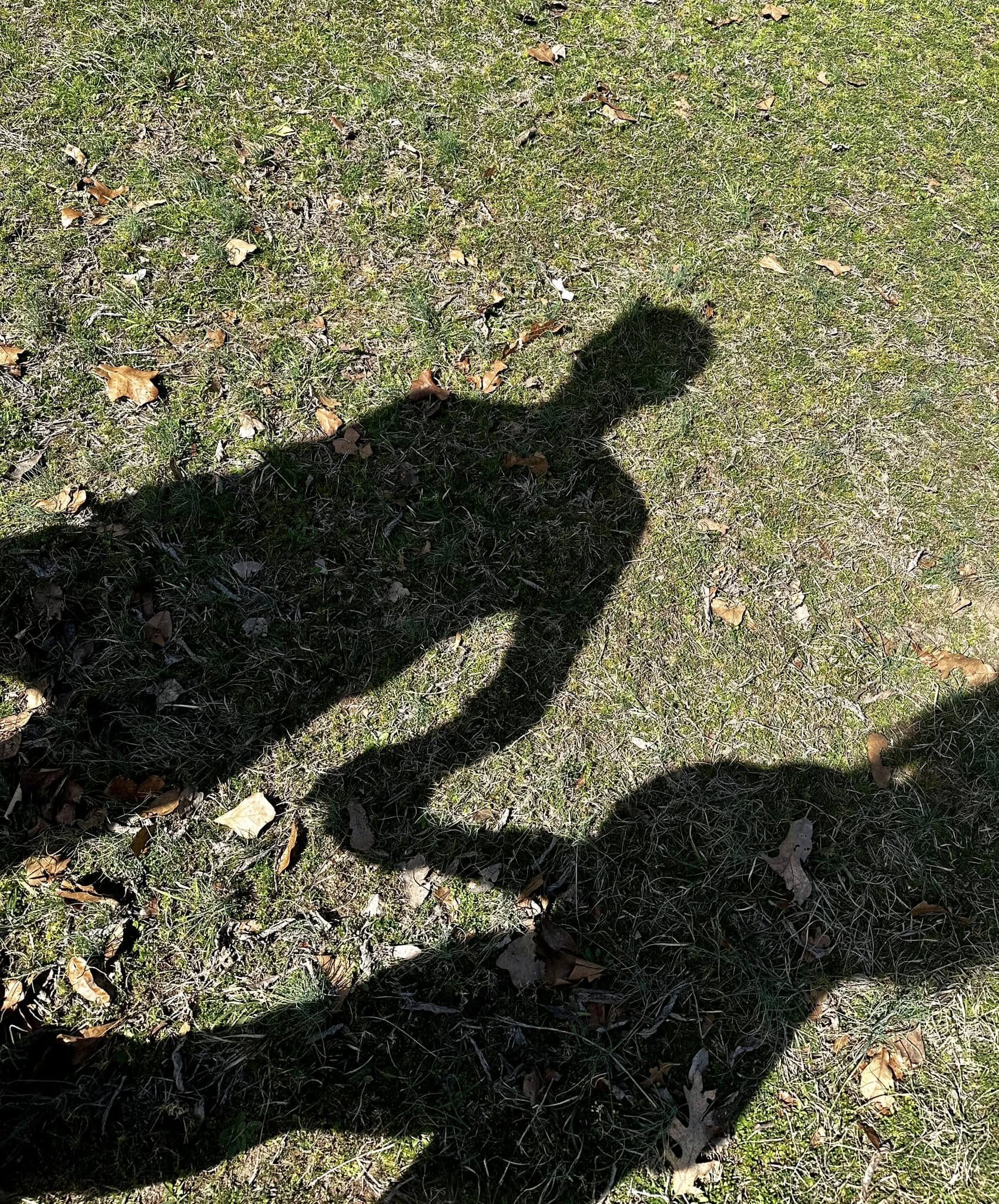 How the Miles Circuit Can Help Induce Labor (and Why It’s Basically Yoga in Real Life)